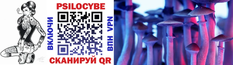 MEGA ТОР  Нестеровская  Псилоцибиновые грибы Psilocybine cubensis 