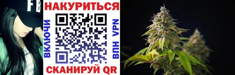 где купить наркоту  ОМГ ОМГ вход  Конопля конопля  Нестеровская 